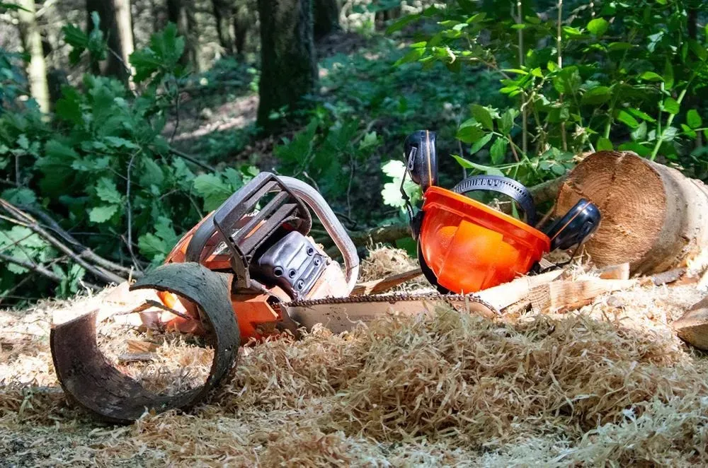 vente de bois près de Châtel-Guyon