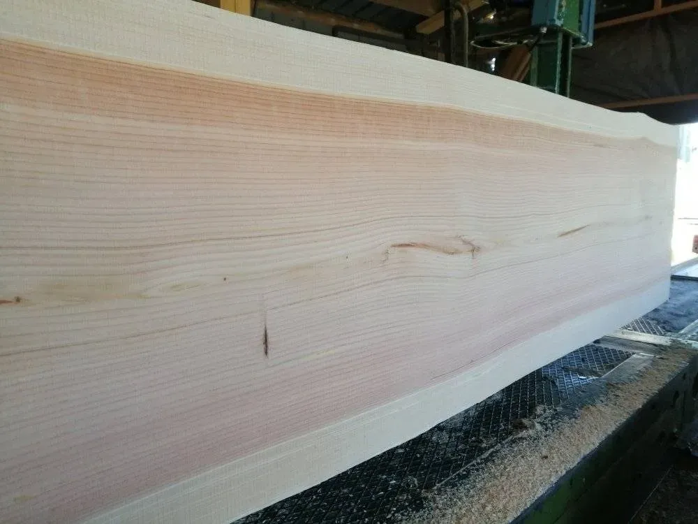 pergolas près de Châtel-Guyon